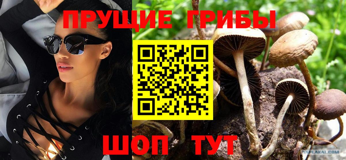 Галлюциногенные грибы Magic Shrooms  Вход с VPN  Норильск 