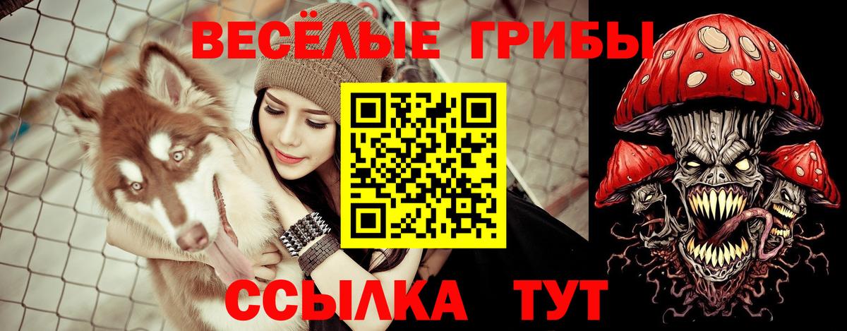Псилоцибиновые грибы Psilocybe Норильск